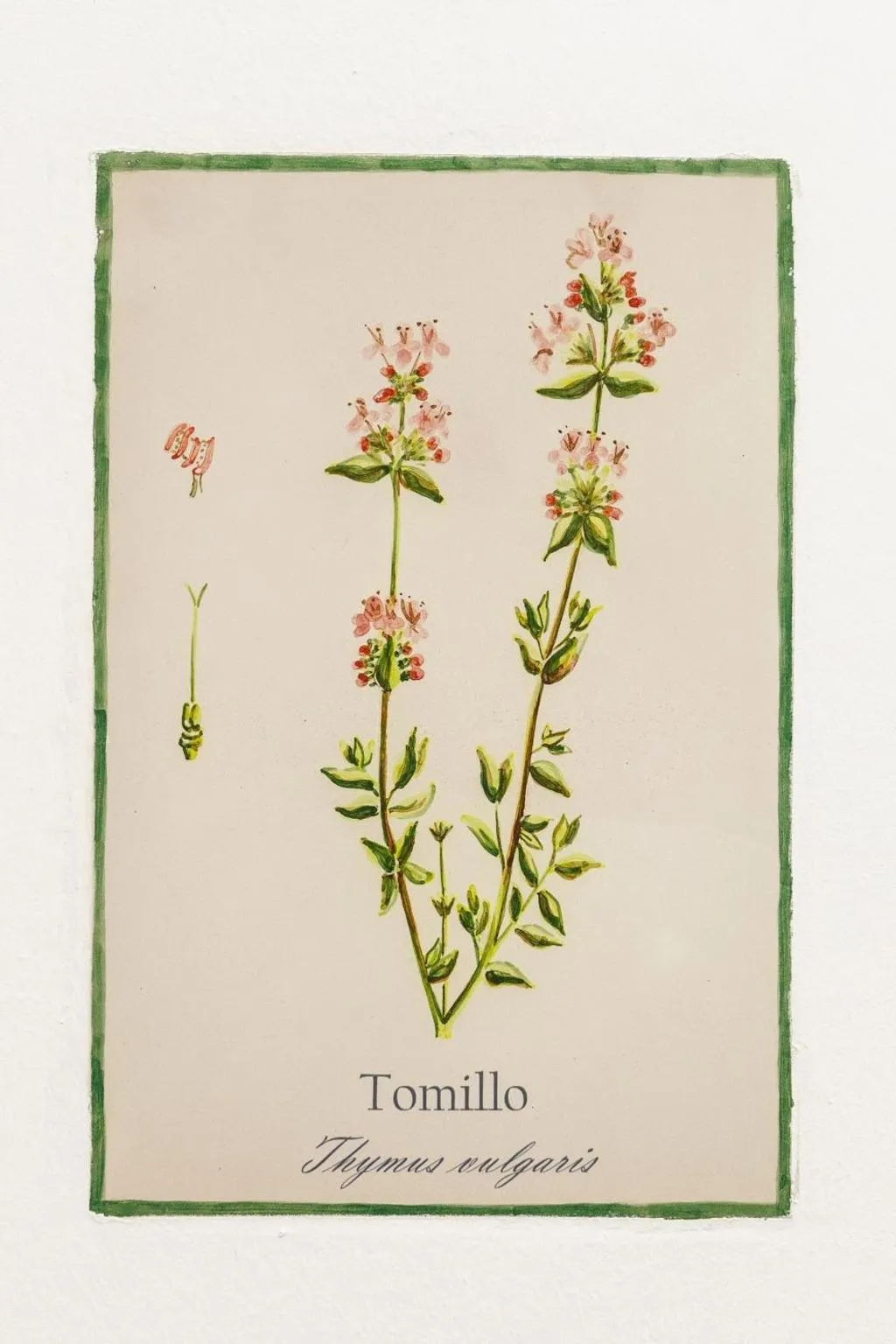 General view, Arte De Cozina, Andalucia