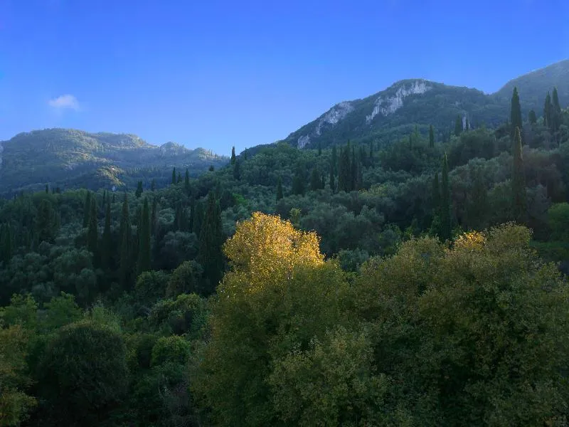 General view, Alexis Apartments Benitses, Corfu