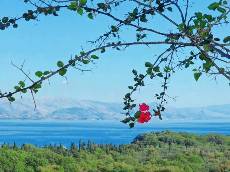 General view, Villa Anna Castello, Corfu