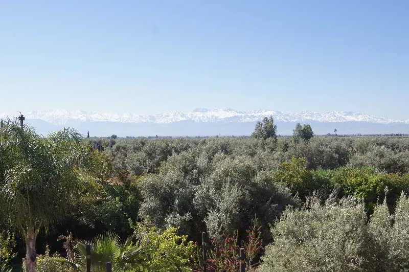 Terrace, Kasbah Chwiter, Marrakech