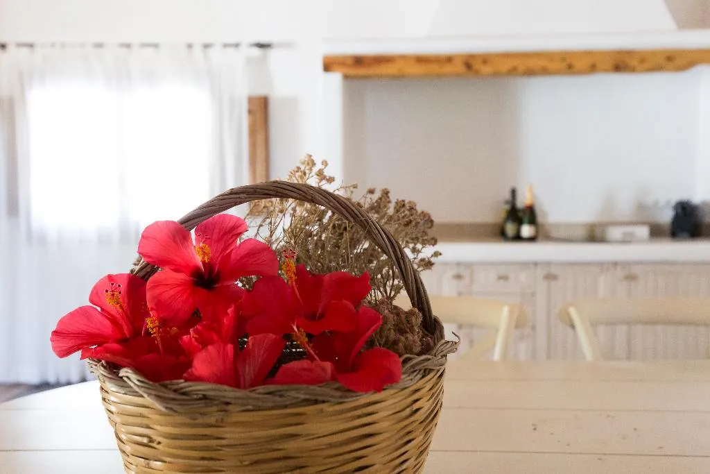 VILLA STANDARD Room, Agroturismo Can Guillem, Ibiza