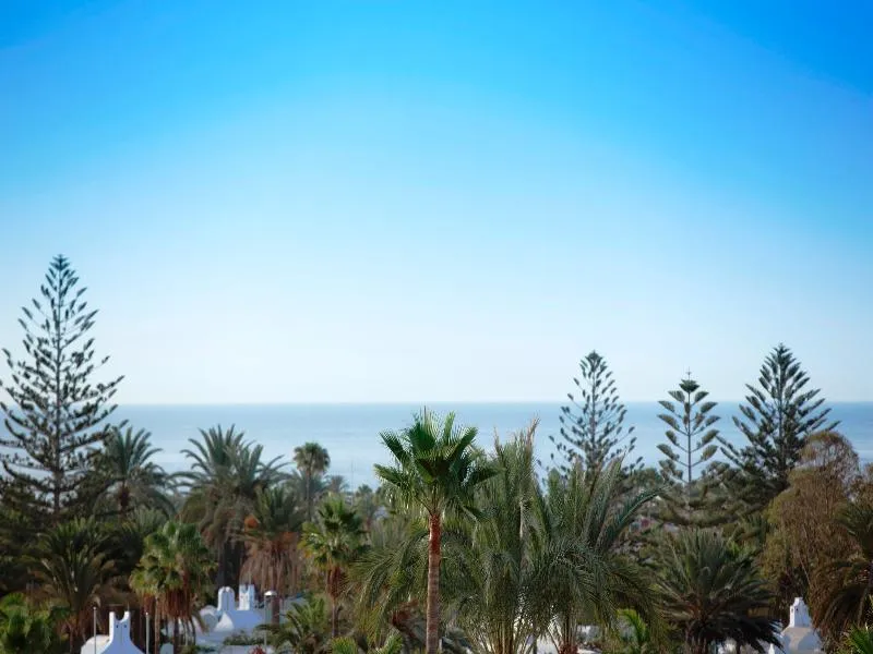 Terrace, Playa del Sol, Gran Canaria
