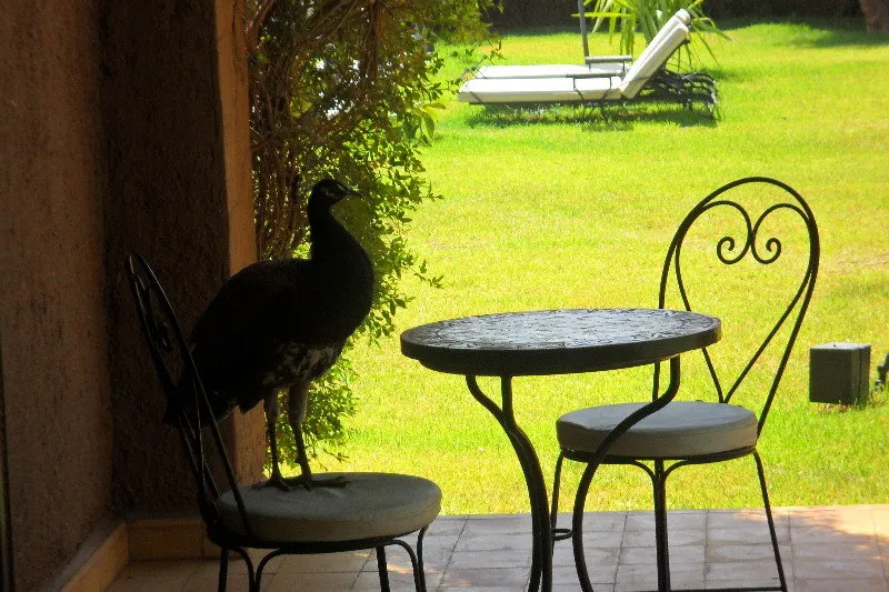 Terrace, Dar Tifawine, Marrakech
