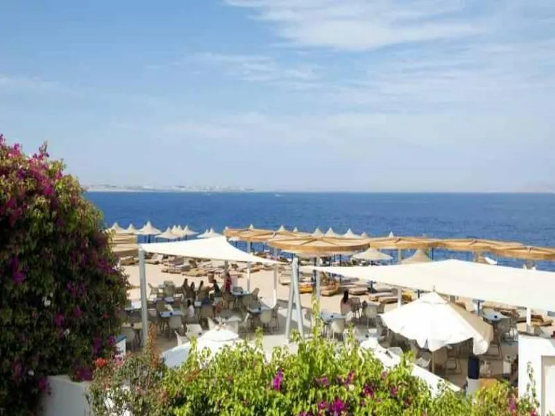 Beach, Amphoras Blu, Red Sea Riviera