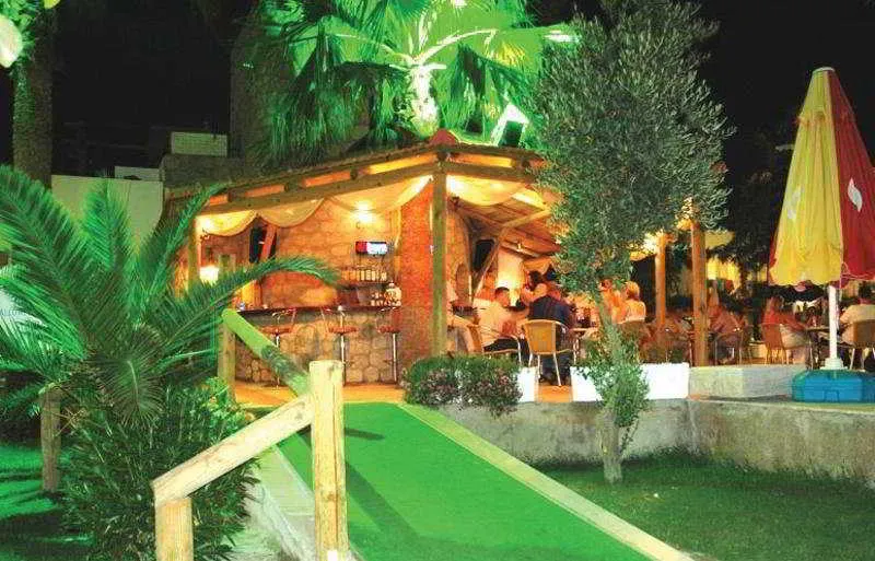 Bar, Baba, Bodrum