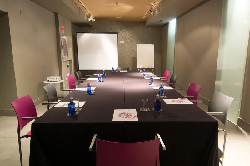 Conferences, Petit Palace Santa Barbara, Madrid