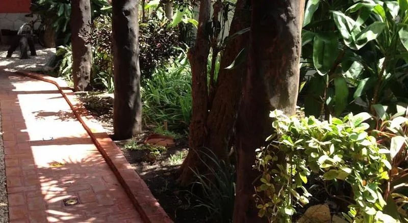 Terrace, L.Hotelito, Cancun Area