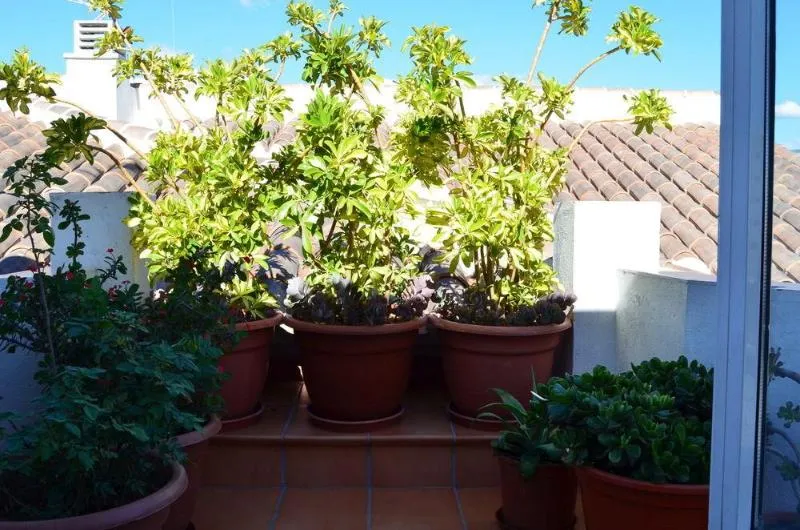 General view, San Pablo, Costa Del Sol