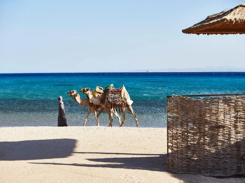 Beach, Kempinski Hotel Soma Bay, Red Sea Riviera
