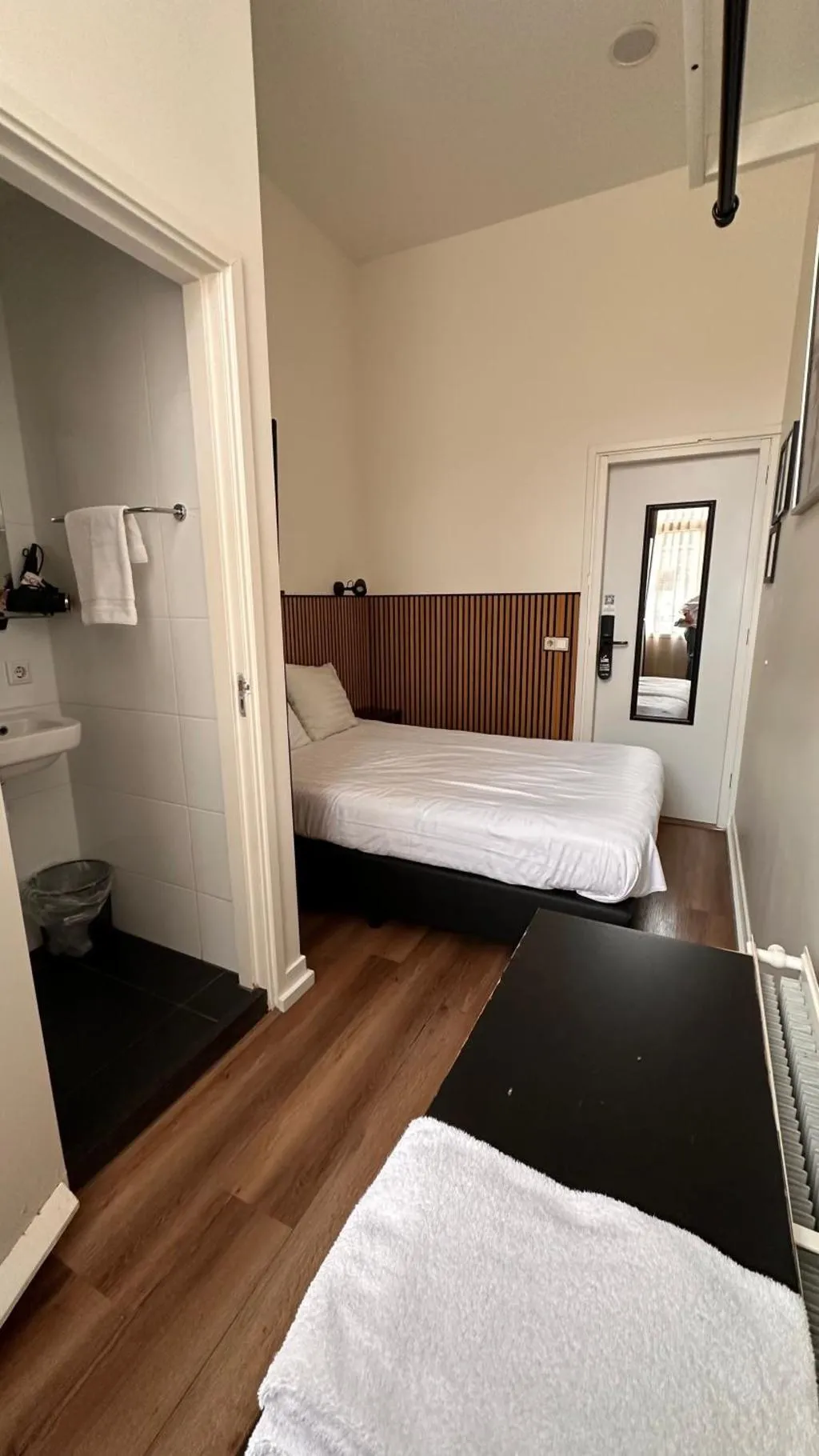 DOUBLE STANDARD Room, Budget Hotel Hortus, Amsterdam