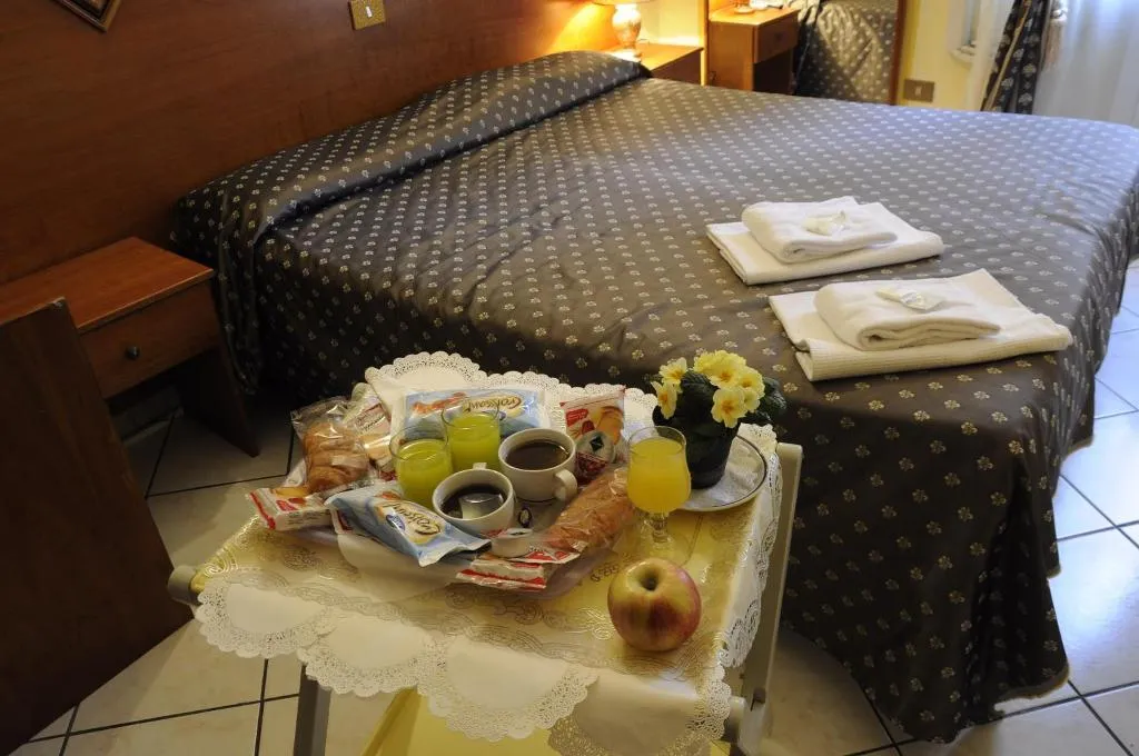 DOUBLE STANDARD Room, Hotel Farini, Rome