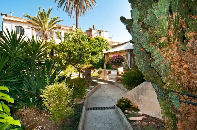 Terrace, Leon de Sineu, Majorca