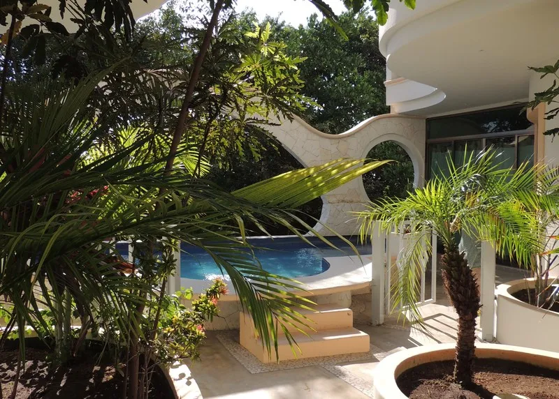 Pool, Casaejido, Playa Del Carmen