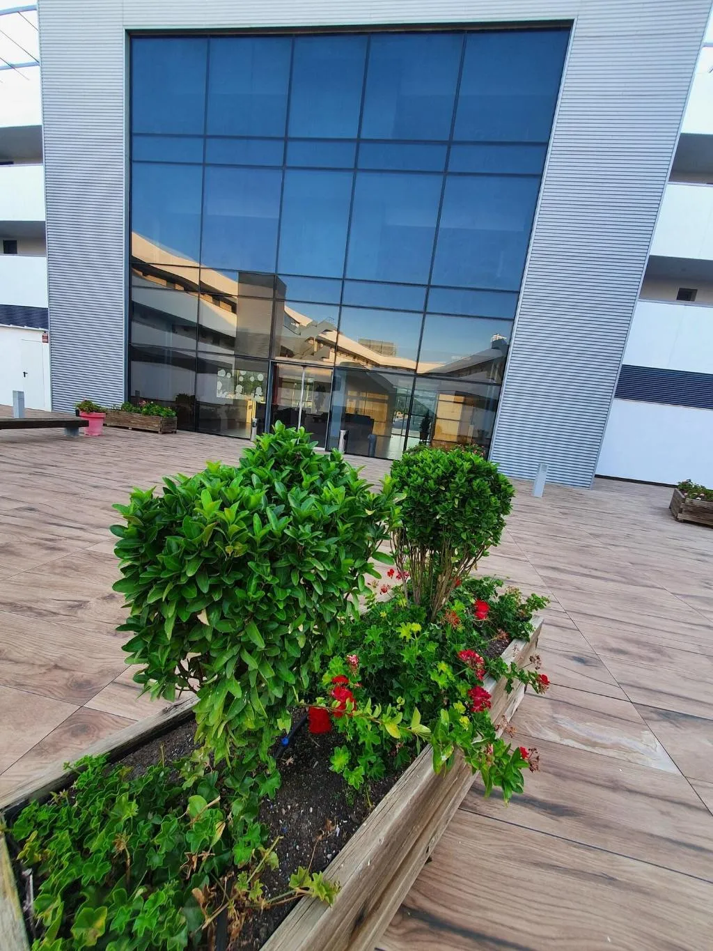 Terrace, Iberflat Vega De Triana, Seville