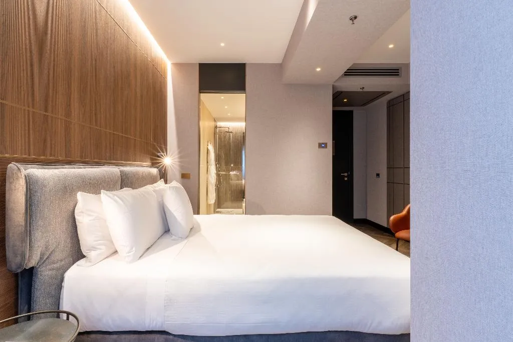 DOUBLE STANDARD Room, Hotiday Roma Trevi, Rome