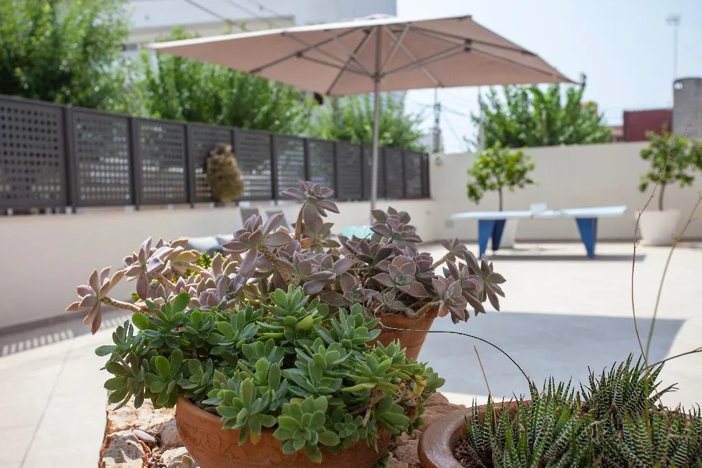 Terrace, Hostal Residencia Sutimar, Majorca