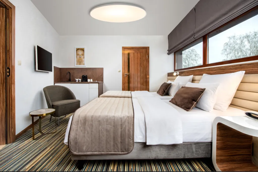 SINGLE COMFORT Room, Leonardo Boutique Hotel Krakow City Center, Krakow