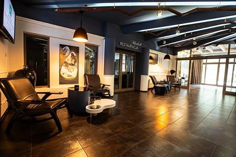 Lobby, Hotel Natura Residence Business & SPA, Krakow