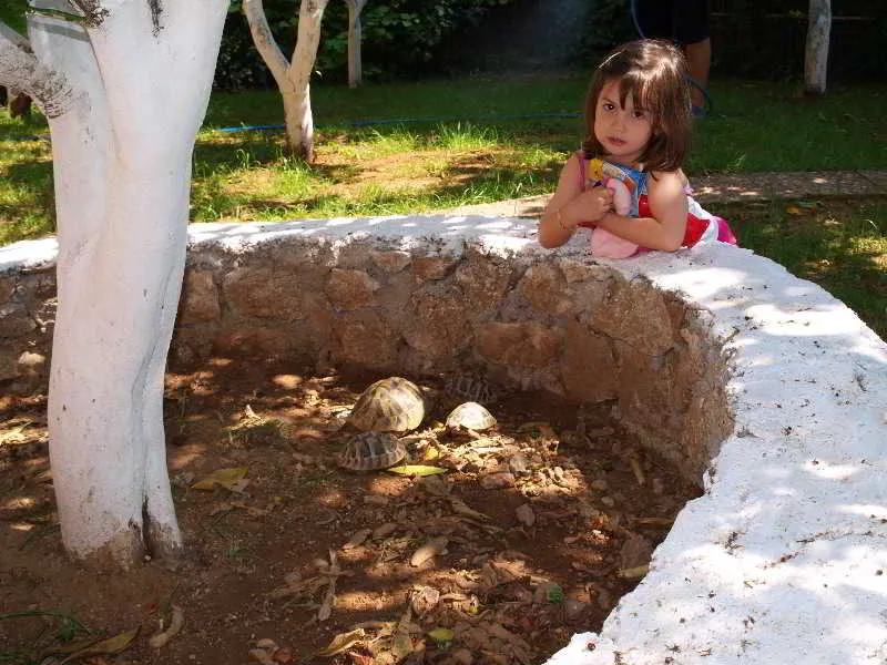Pool, Fouxia Apartments and Studios, Corfu