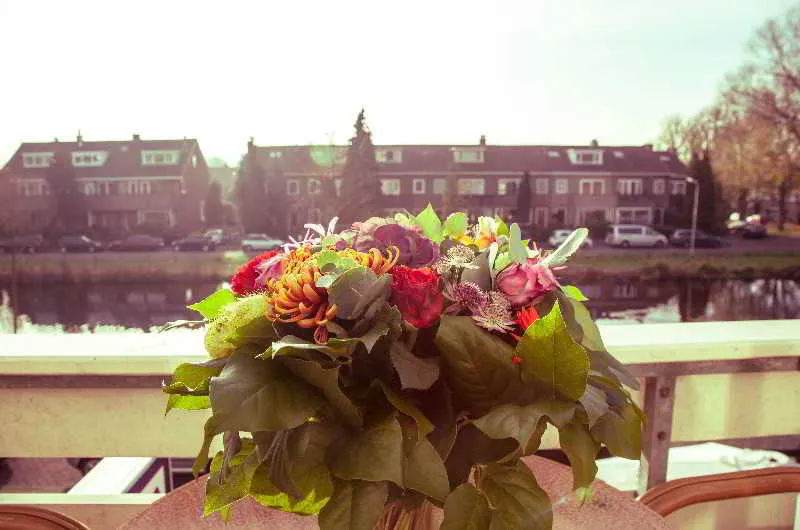 General view, Alp de Veenen Hotel, Amsterdam