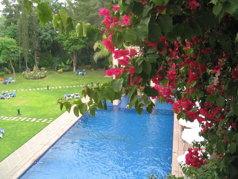 Pool, Marrakech Le Tichka, Marrakech