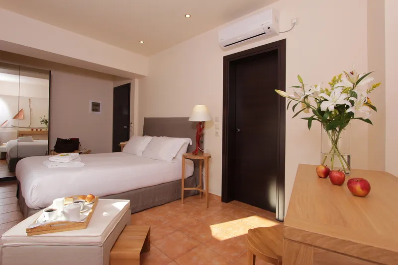 Double or Twin EXECUTIVE Room, White Lotus, Athens