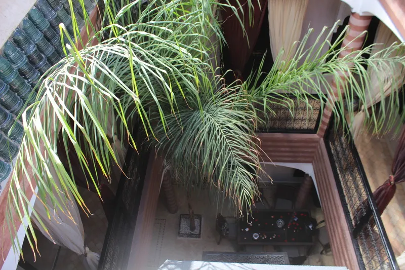 General view, Riad Dar Ftouma, Marrakech