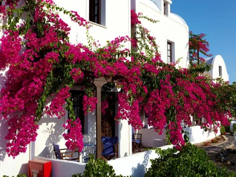 General view, Anna Apartments, Santorini