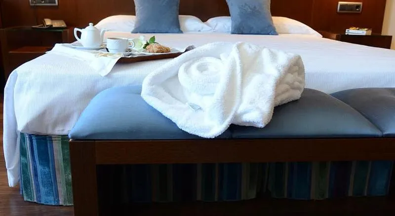 Double or Twin STANDARD Room, Hotel Mirador De Gredos, Madrid