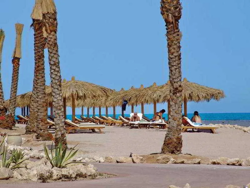 Beach, The Breakers Diving and Surfing Lodge, Red Sea Riviera
