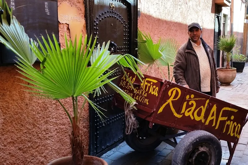 Lobby, Riad Africa, Marrakech