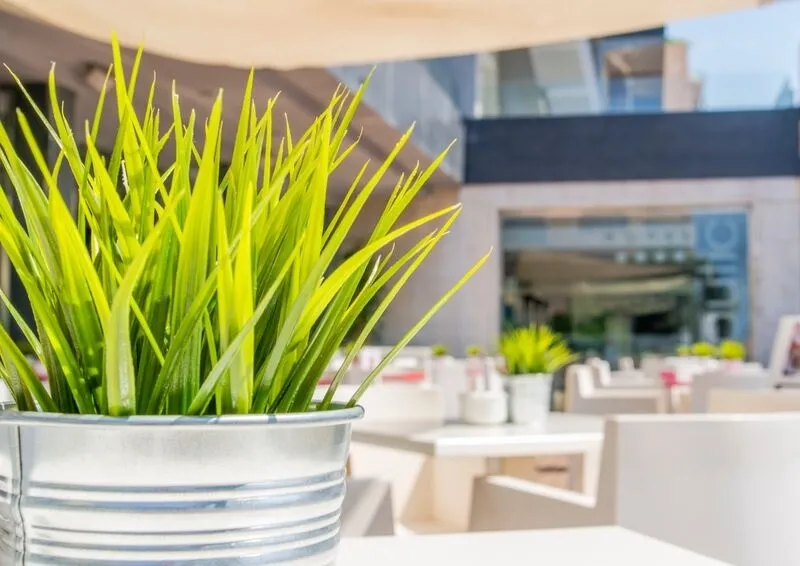 Restaurant, Nautic Hotel, Majorca