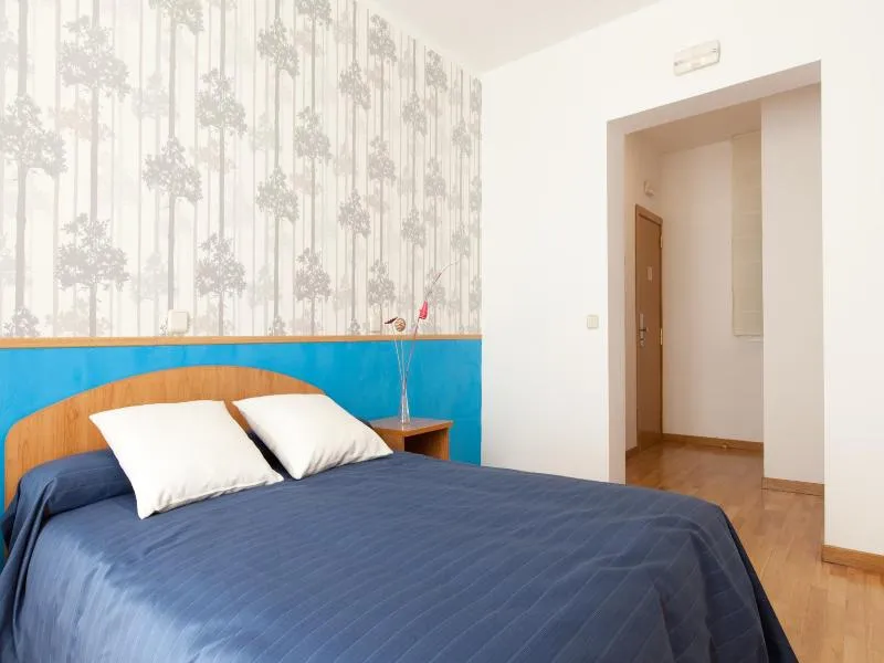 DOUBLE STANDARD Room, Hostal Montaloya, Madrid