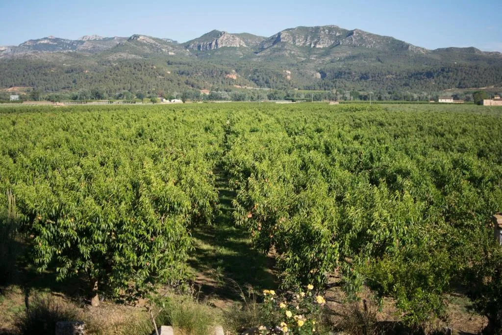 General view, Mas Taniet, Costa Dorada