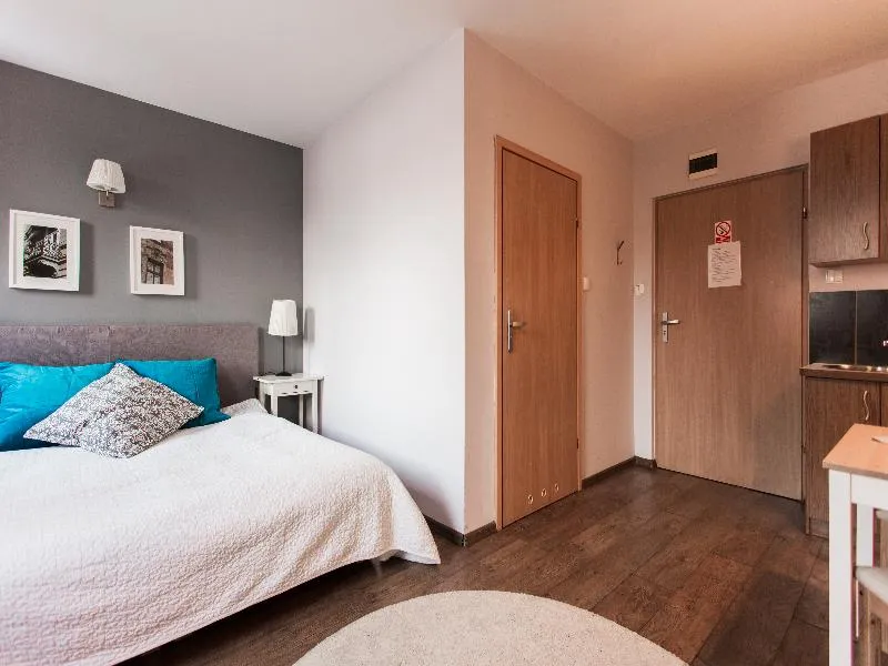 DOUBLE STANDARD Room, Apartwawel, Krakow
