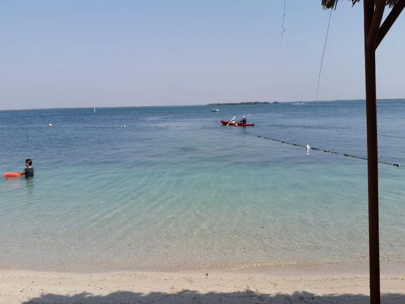 Beach, Flamingo by Bin Majid, Dubai