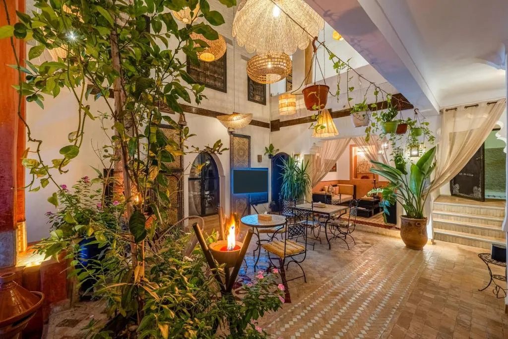 General view, Riad 5 Sens, Marrakech