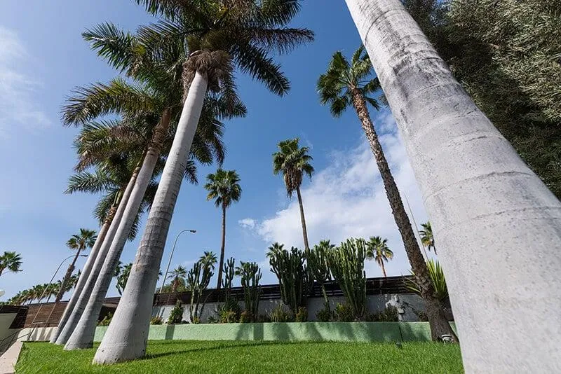 Lobby, eó Maspalomas Resort, Gran Canaria