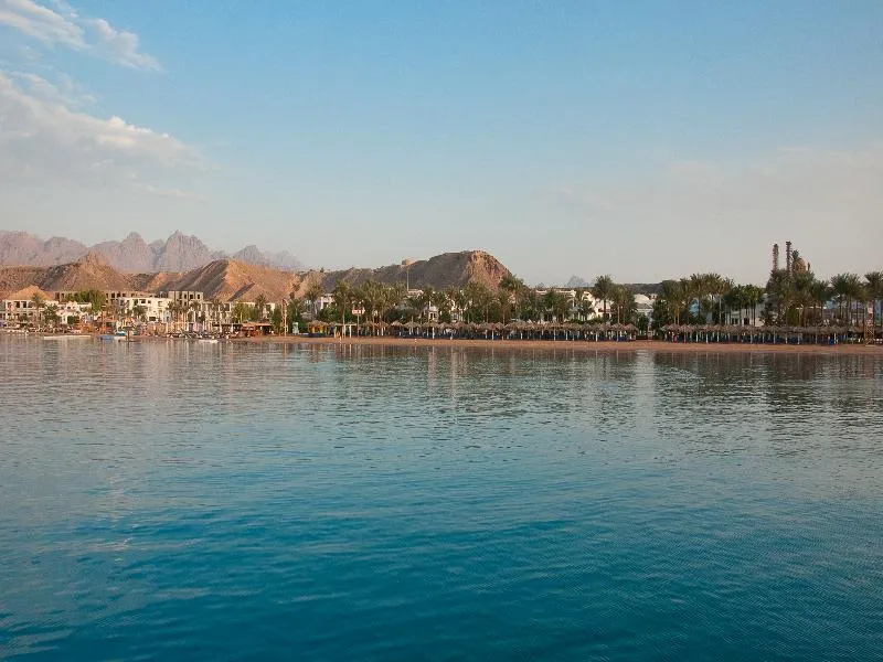 Beach, JAZ Elite Palace - Adults Only, Red Sea Riviera