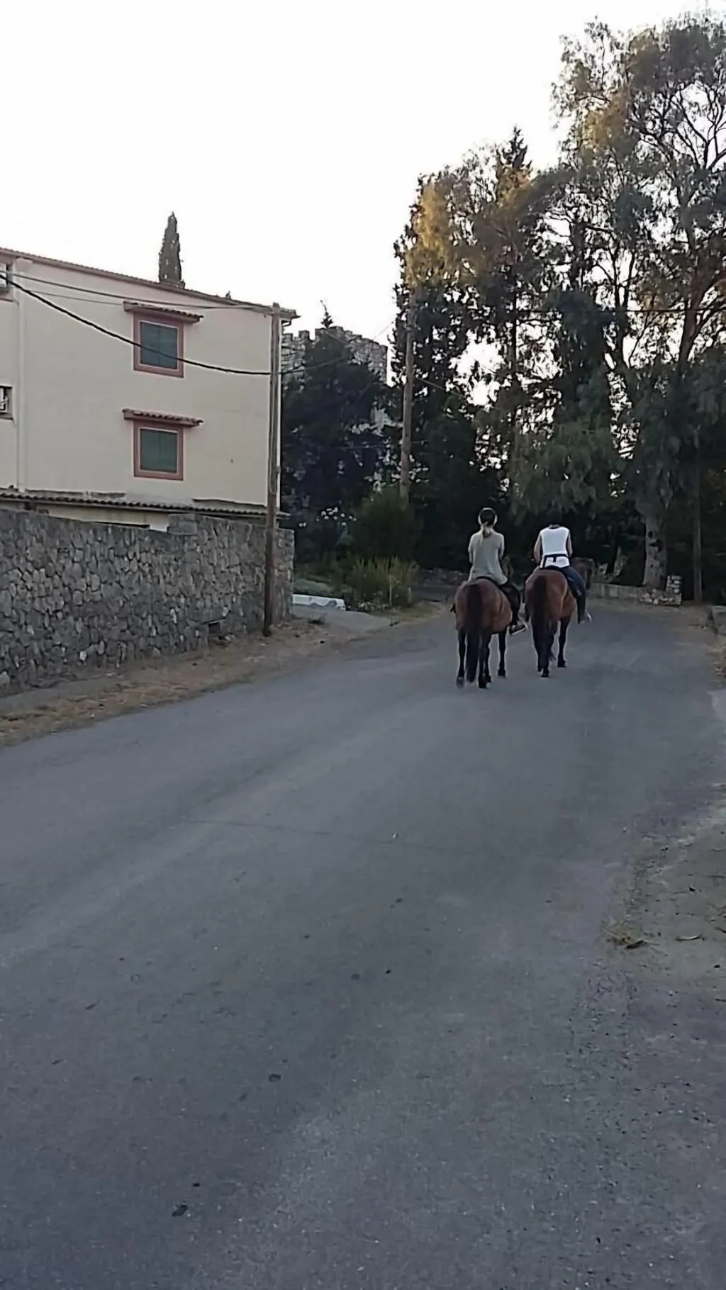 Sports and Entertainment, Pierhouse Hotel In Gouvia, Corfu