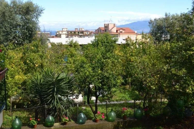 Terrace, Sorrento Experience, Naples