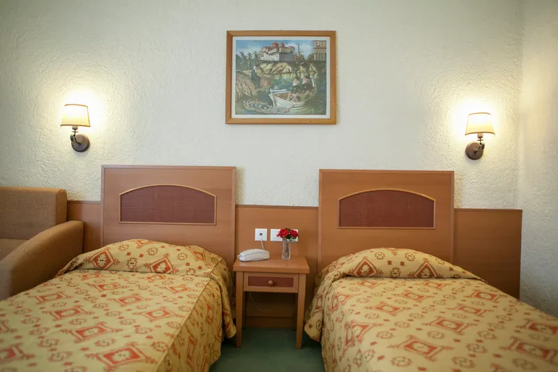 Double or Twin MOUNTAIN VIEW Room, Athos Palace Hotel, Halkidiki