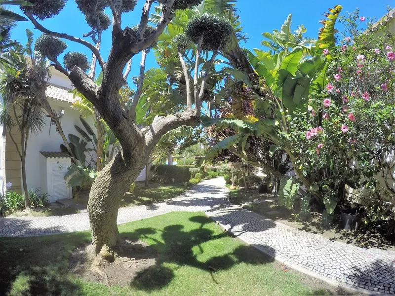 Terrace, Luzmar Villas, Algarve