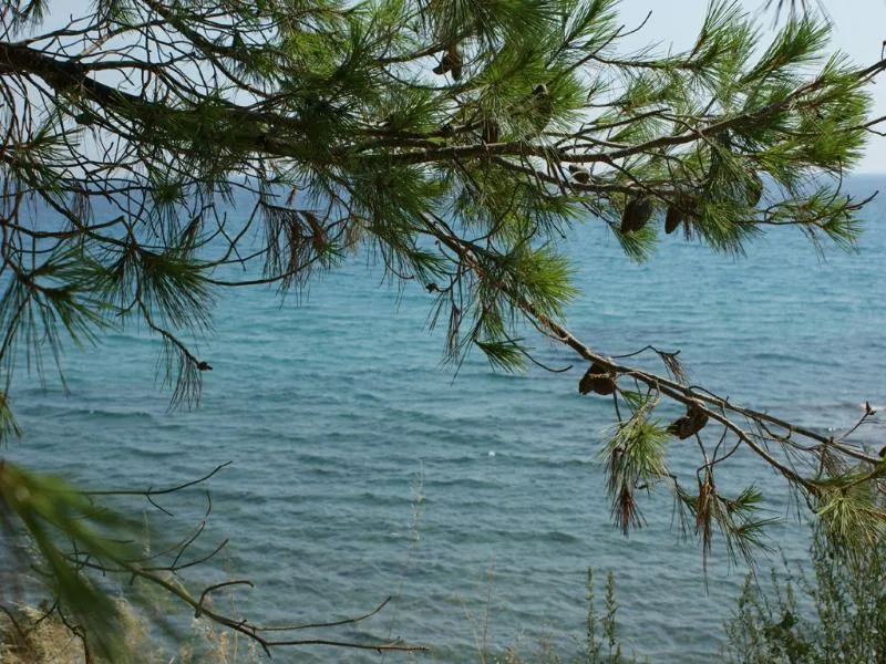 General view, Thea Hotel, Halkidiki