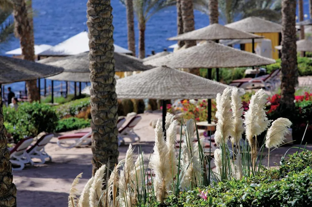 Beach, Grand Rotana Resort & Spa, Red Sea Riviera