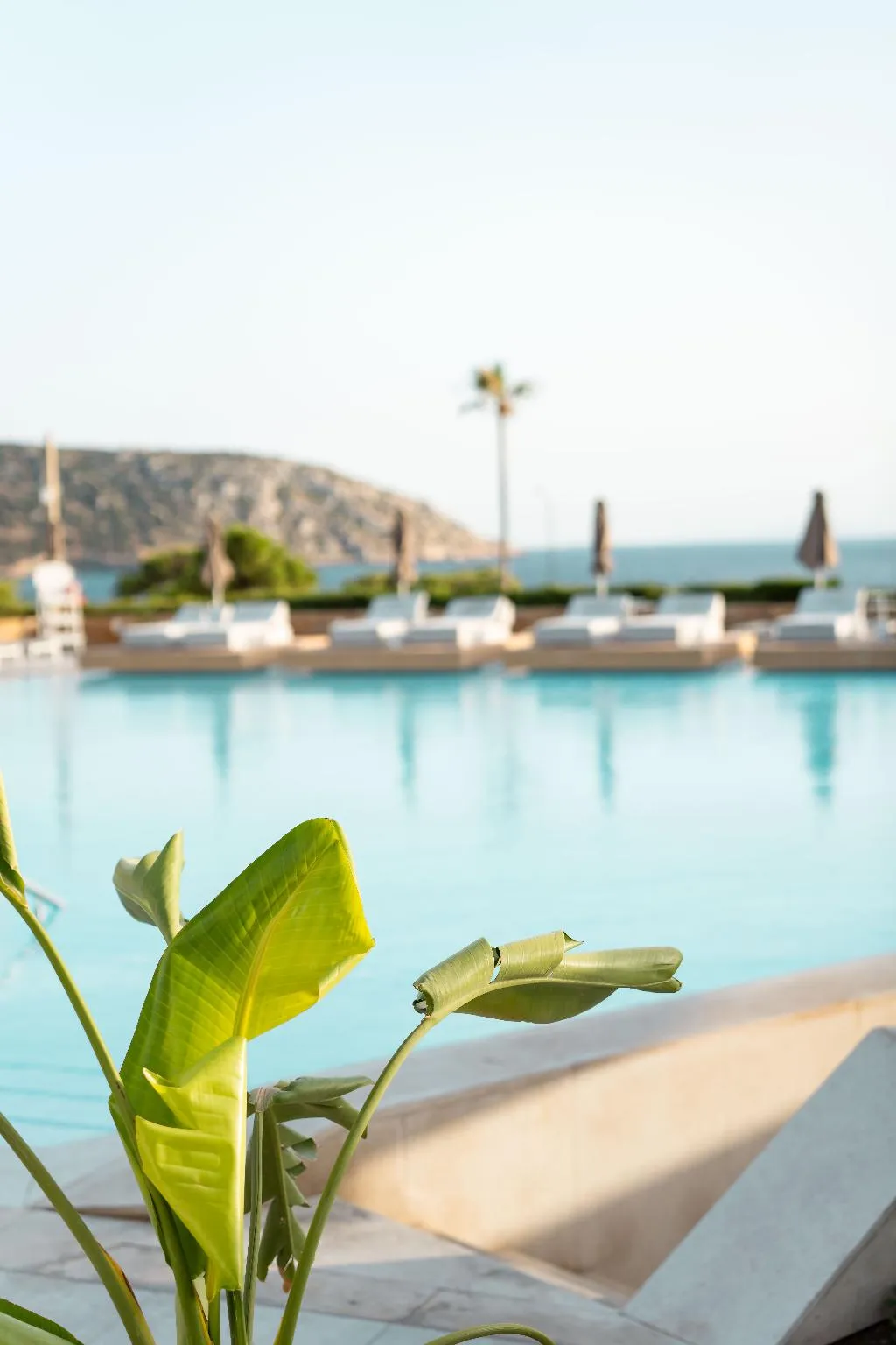 Pool, Vincci EverEden, Athens