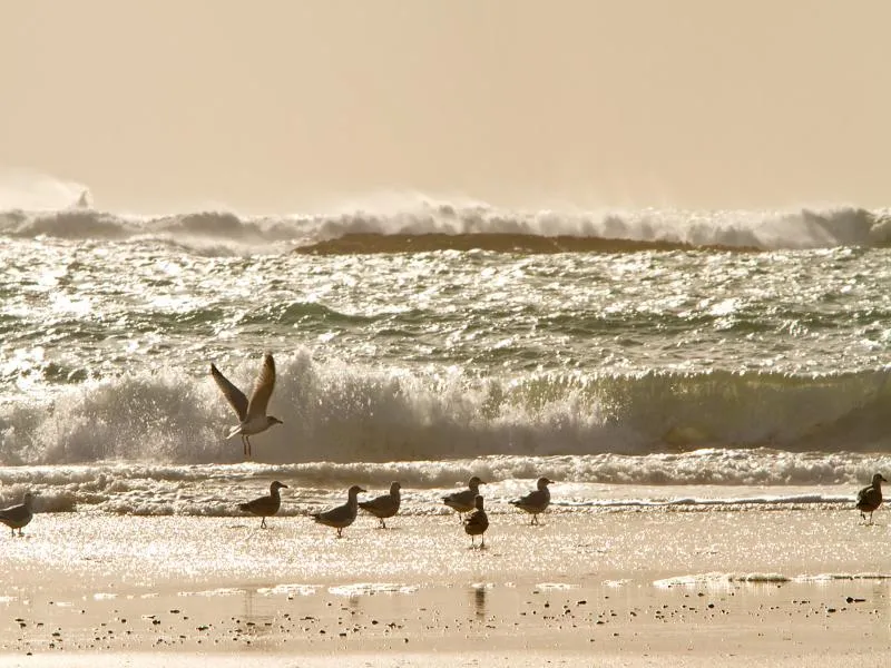 Beach, The Bayview Hotel, Cork