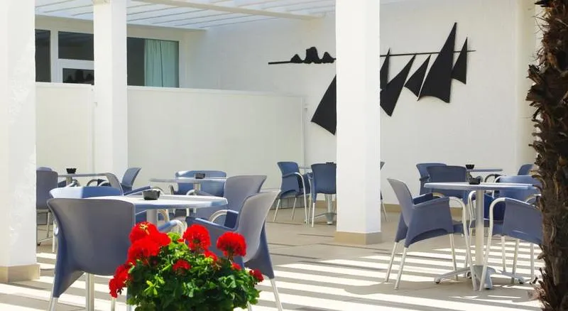 Terrace, Alga, Costa Brava