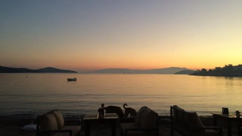 Beach, Bitez Garden Life, Bodrum