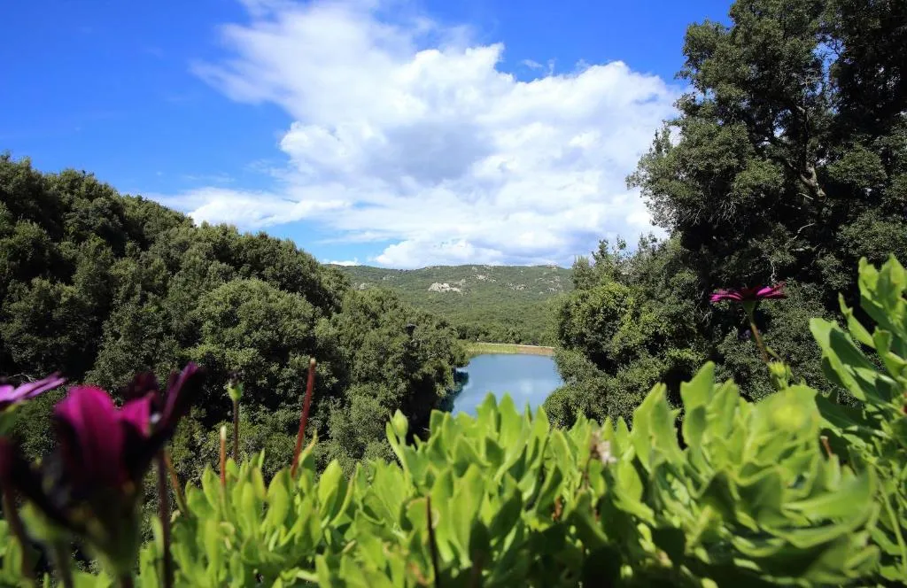 General view, L'Agnata di De André, Olbia